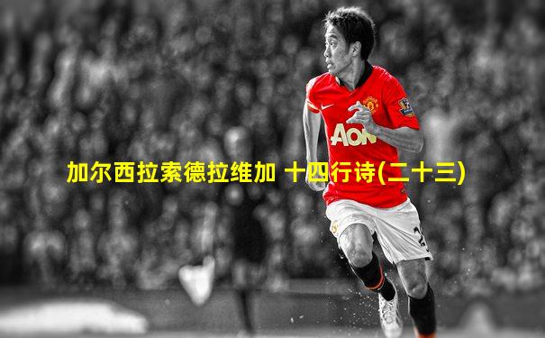 加尔西拉索德拉维加 十四行诗(二十三)